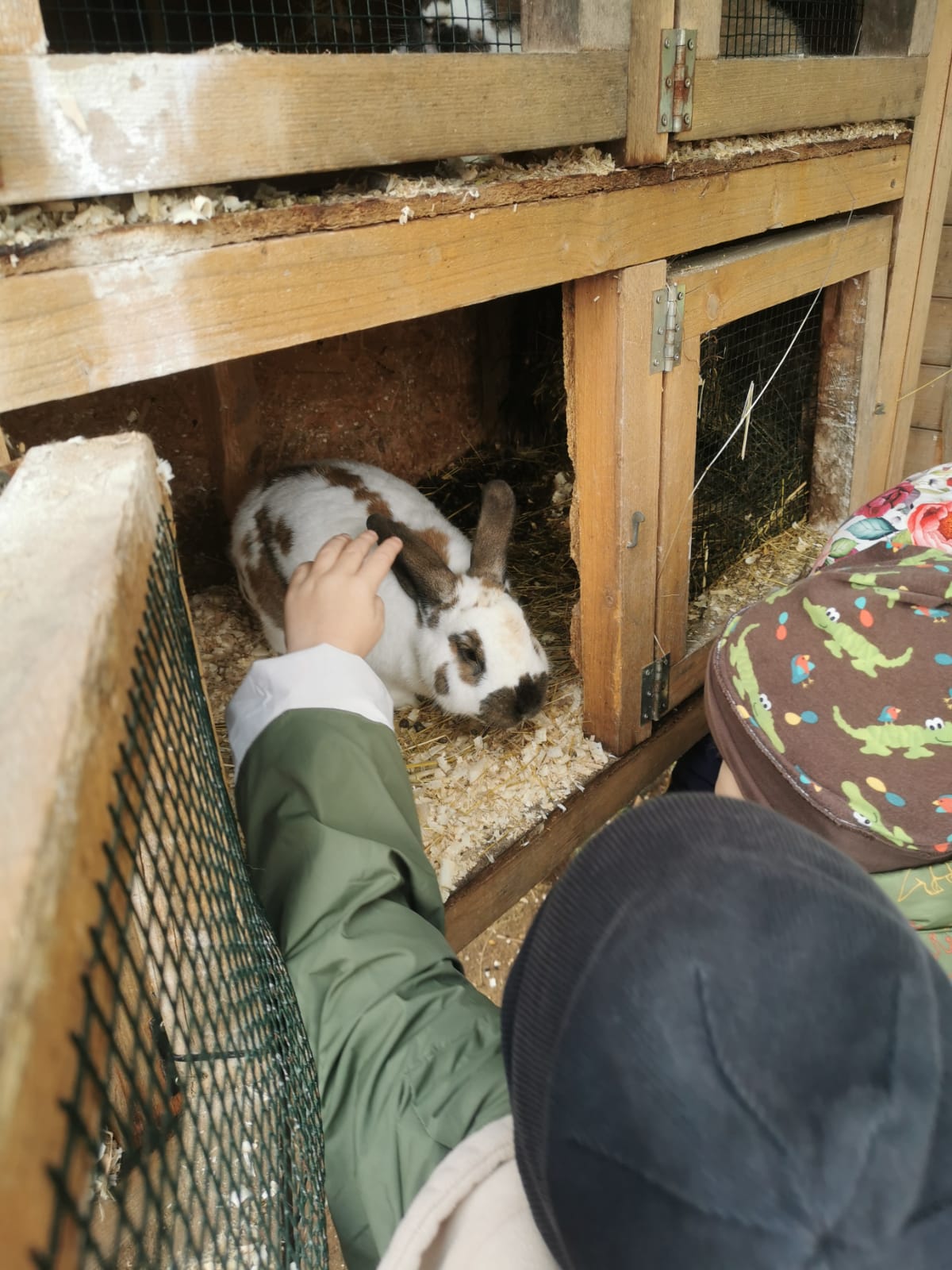 Obrázek WhatsApp, 2025-10-02 v 13.11.37_7045cd32.jpg