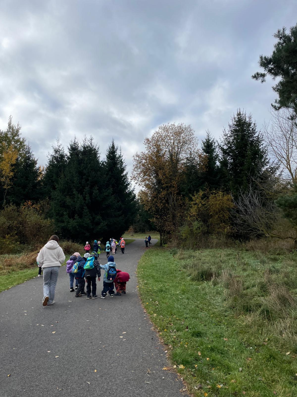 Obrázek WhatsApp, 2025-11-04 v 14.55.04_8c1c0516.jpg