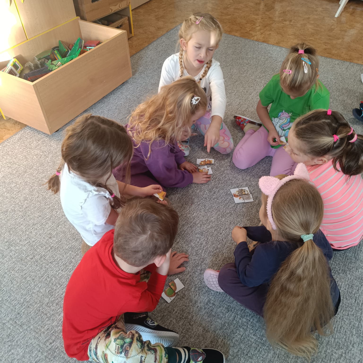 Obrázek WhatsApp, 2025-11-05 v 14.00.05_163a9275.jpg