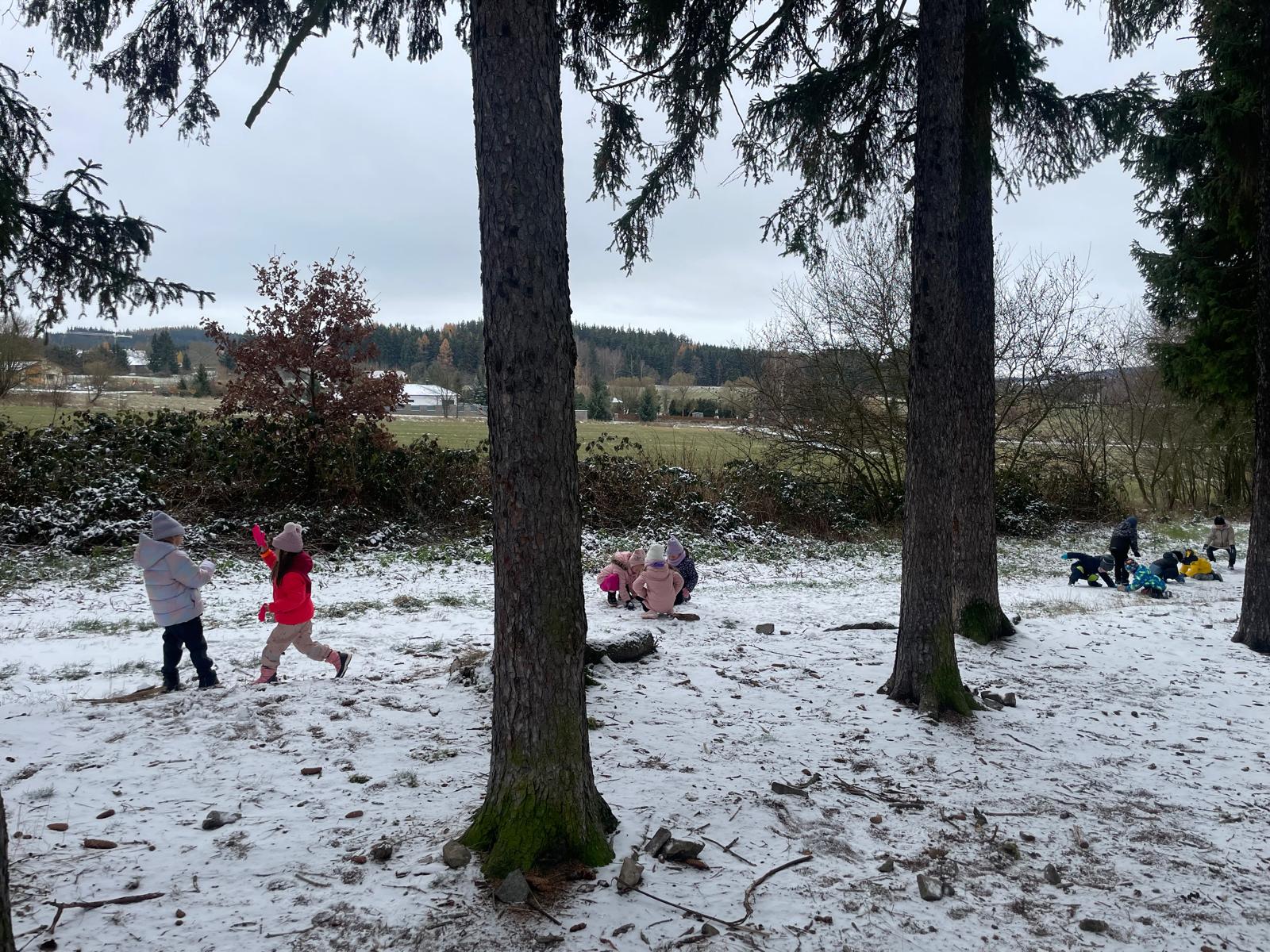 Obrázek WhatsApp, 2025-11-24 v 17.18.44_34091a4c.jpg