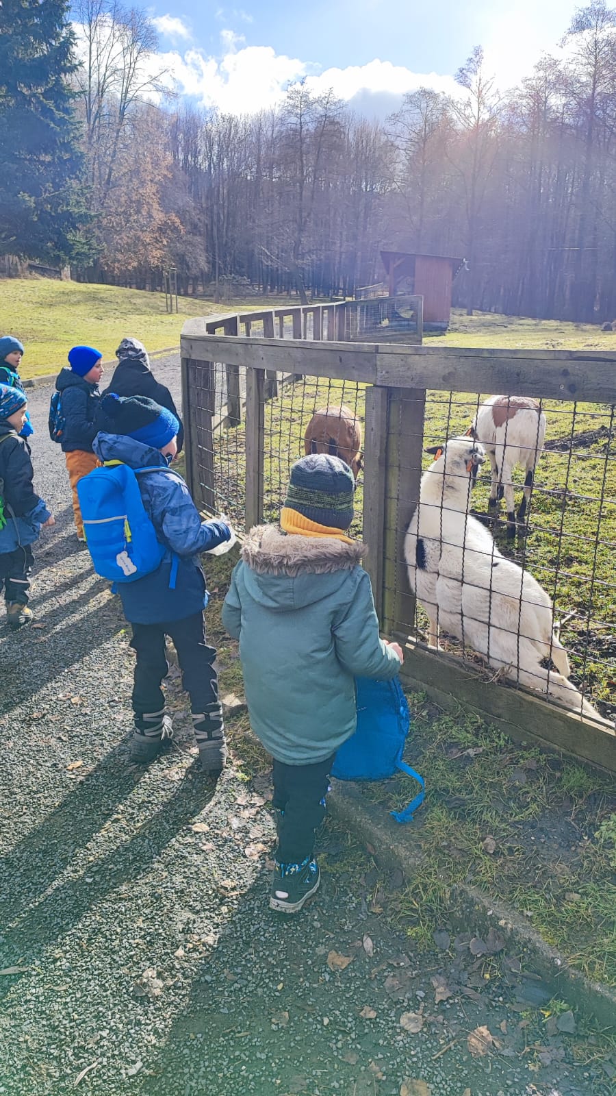 WhatsApp Image 2026-02-25 at 18.16.23 (1).jpeg