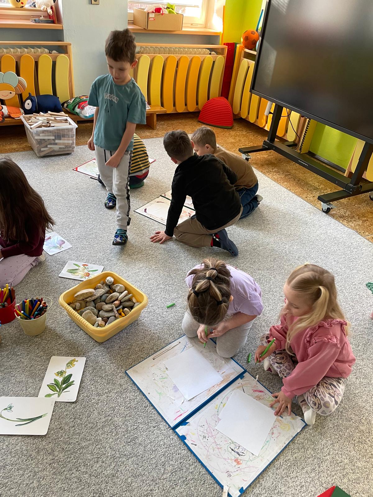 WhatsApp Image 2026-03-03 at 10.47.06 (1).jpeg