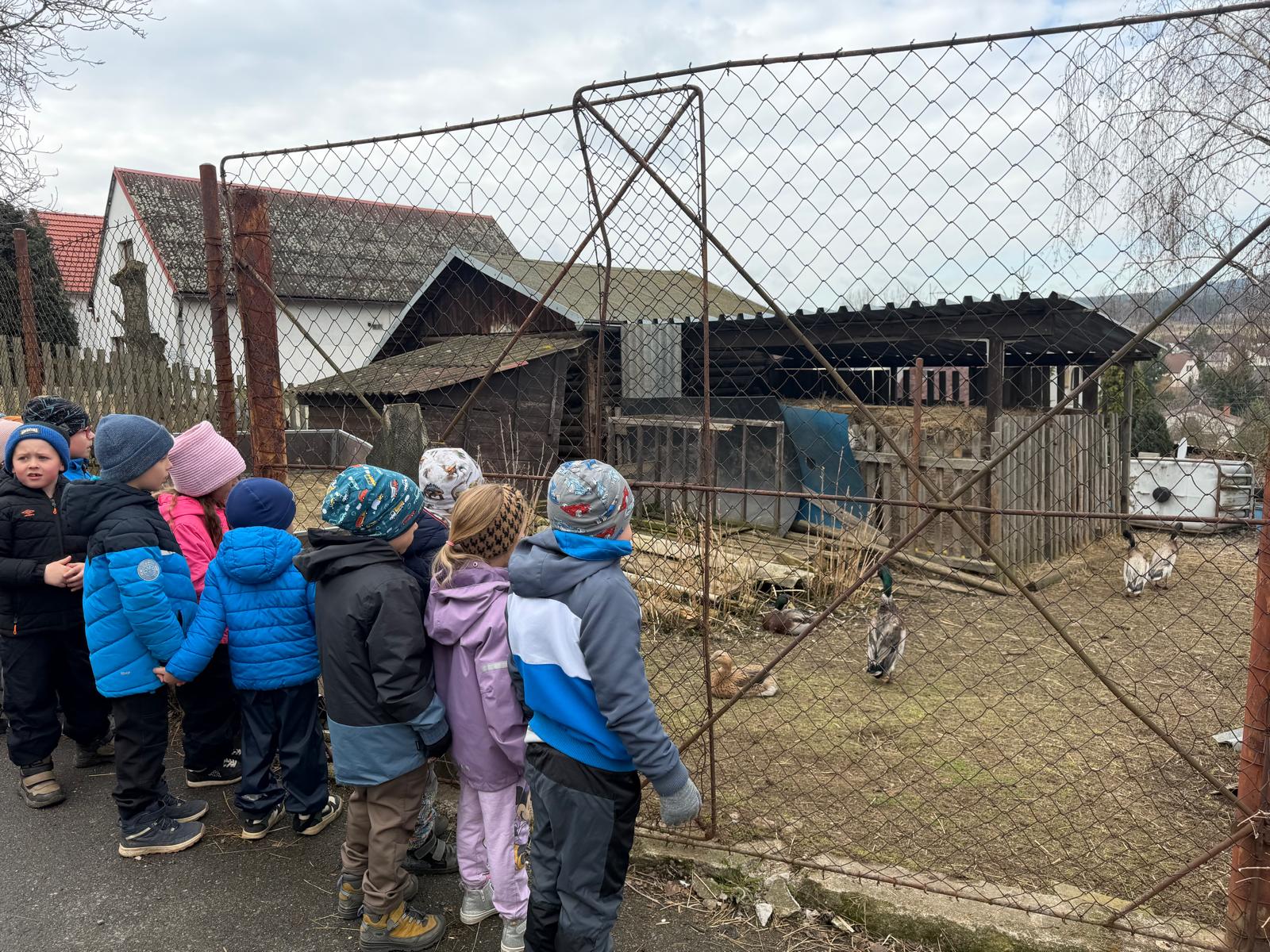 WhatsApp Image 2026-03-16 at 16.10.31.jpeg